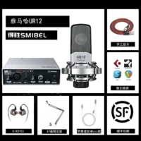 DSHENG SM-18EL+YAMAHA UR12
