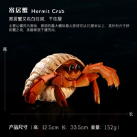 Резидент краб