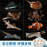 8 видов комбинаций морских рыб