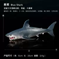 Синяя акула