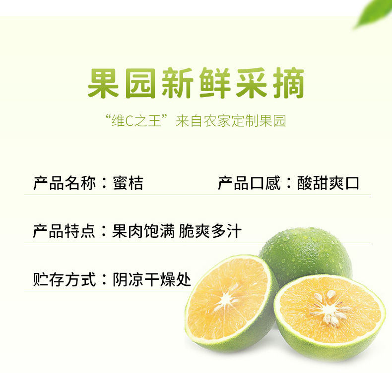 3斤新鲜宜昌薄皮蜜桔当季蜜橘整箱