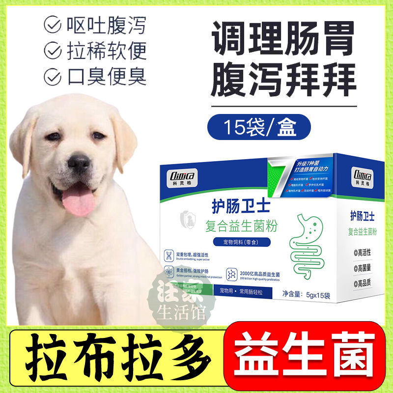 Labrador special dogs eat probiotics conditioning Gastrointestinal Treasure Vomiting Diarrhea constipation Pregnancy Aids