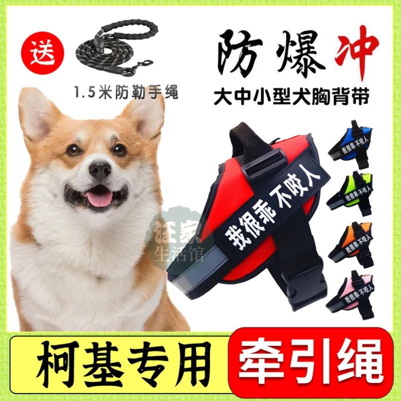 Keji Special Chain Dog Lying Puppy Neck Rope Dog Chest Holding Baby Bag Backrest Type Outgoing Traction Rope Anti-bite