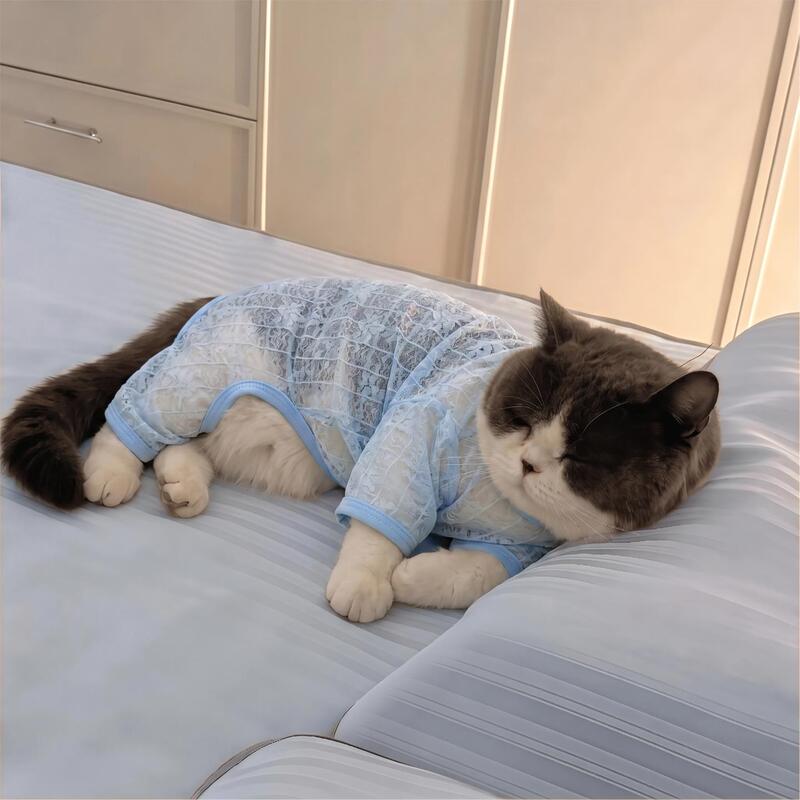 Cat Clothes, Summer Lightweight Mesh Hollow-Out Cooling Four-Legged Clothing, Anti-Shedding Pajamas, Home Clothes for Small and Medium-Sized Dogs Cat Clothes, Summer Lightweight Mesh Hollow-Out Cooling Four-Legged Clothing, Anti-Shedding Pajamas, Home Clothes for Small and Medium-Sized Dogs