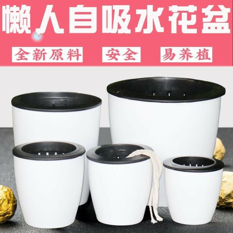 Lazy flower pot automatic water absorption of golden kudzu water cultivation Chlorophytum hydroponic self-priming pot plastic hydroponic plant large modern