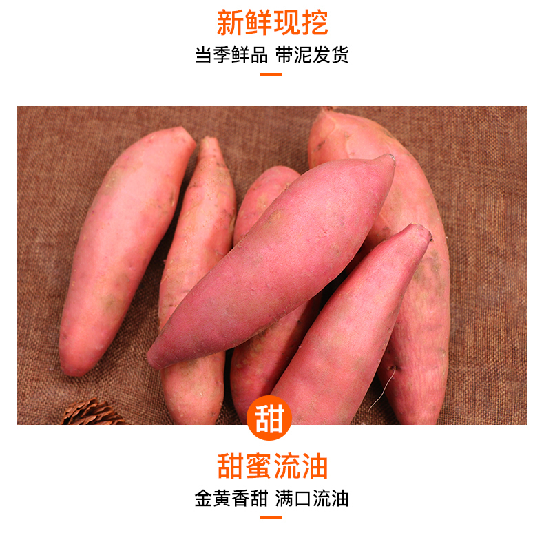 【顺丰包邮】山东烟台糖心红薯蜜薯5斤