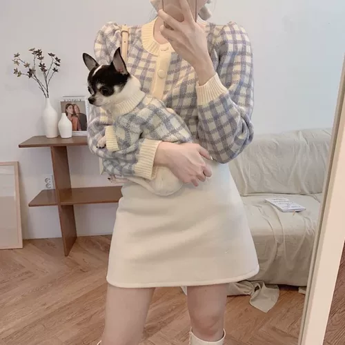 Домашние животные осень и зимние кошки, кошки, собаки, Тедди Тедди Бибел Белит Лето маленький собака сгущенным зимним свитером