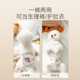 Милый маленький медведь собака Физиологические штаны Общественная собака, посвященная привлечению плюшевого эструса, анти -мурдера и анти -интервизионного летнего живота