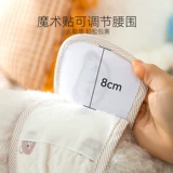 Милый маленький медведь собака Физиологические штаны Общественная собака, посвященная привлечению плюшевого эструса, анти -мурдера и анти -интервизионного летнего живота