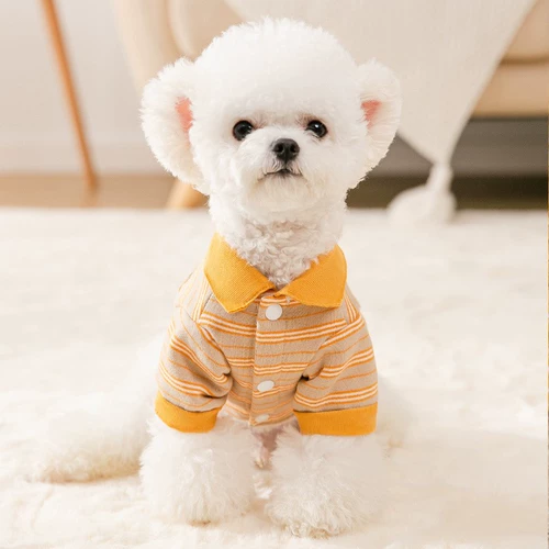 抹茶 Вязаная рубашка собачья пружина и осень тонкий кот господкий домашний животный плюшевый мишка Jochxia fhaxu маленькие щенки