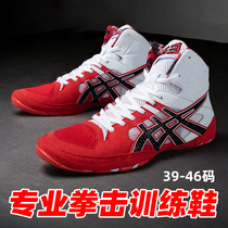 Professional boxing shoes mens fighting shoes Sanda shoes training shoes low-top Muay Thai shoes competition free fighting shoes wrestling shoes
