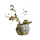 Украшения вазы, сухие цветы, орнаменты, обеденный стол, тумба под телевизор, предметы домашнего обихода, красная глина в европейском стиле в стиле ретро, грубые глиняные горшки, горшочки для фаянса mini 4