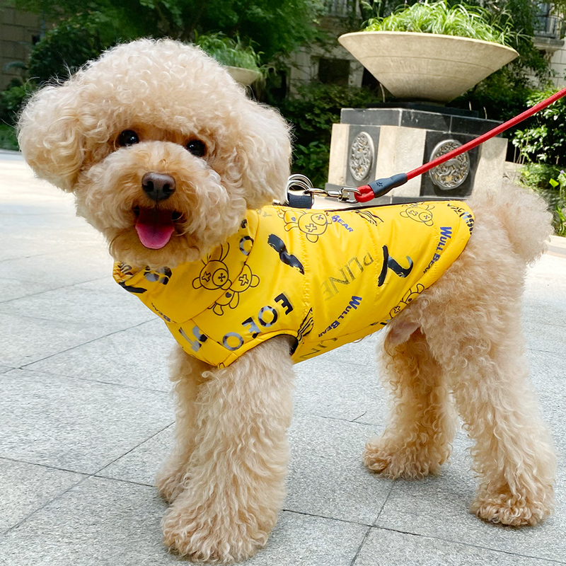 Dog clothes in autumn and winter cotton clothes in small dog Teddy Bear Bear Cotton Beauty Winter Cotton Cotton