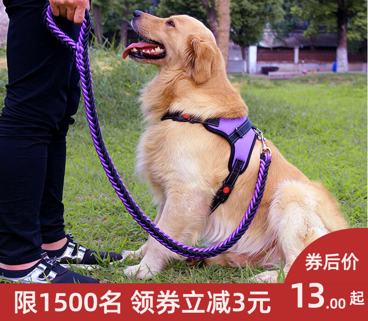 Medium sized large canine dog Walking Dog Rope Chest Back Type Dog Chain Chain Traction Rope Ginosa Morabrado