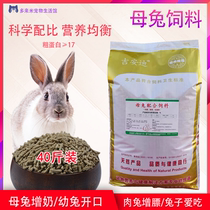 Rabbit food female rabbit feed domestic rabbit meat rabbit adult old rabbit milk to promote lactation and gain 40 pounds of food during pregnancy and lactation