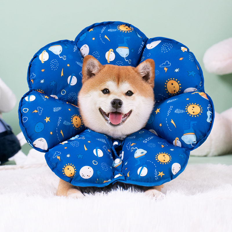 Dog Elizabeth Circle Anti-lick Anti-Grip Soft Headgear Neck Ring Neuter Skin Chai Dog Teddy Small Medium Dog Supplies