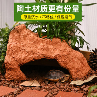 Turtle shelter hole Yellow edge turtle clay cave sun terrace