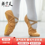 Танцевальная туфли детское мягкое дно практиковать кот кошачьи кот летние летние танце