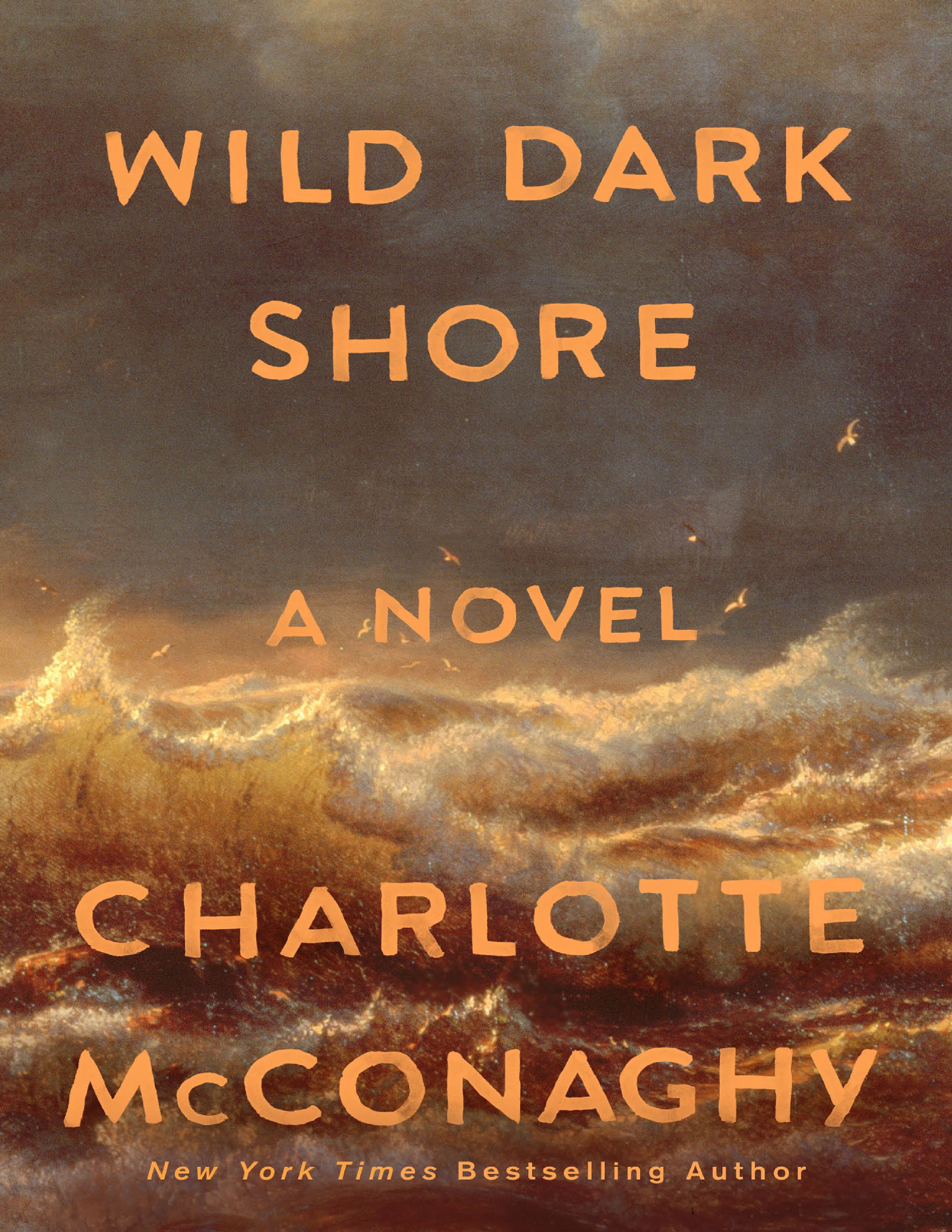 Wild Dark Shore by Charlotte McConaghy.jpg
