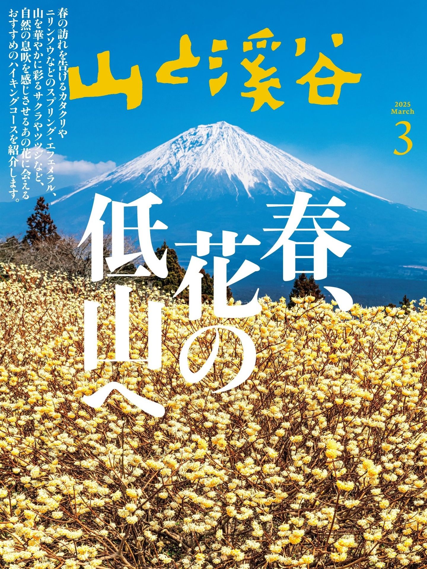 山と溪谷 2025.03.jpg