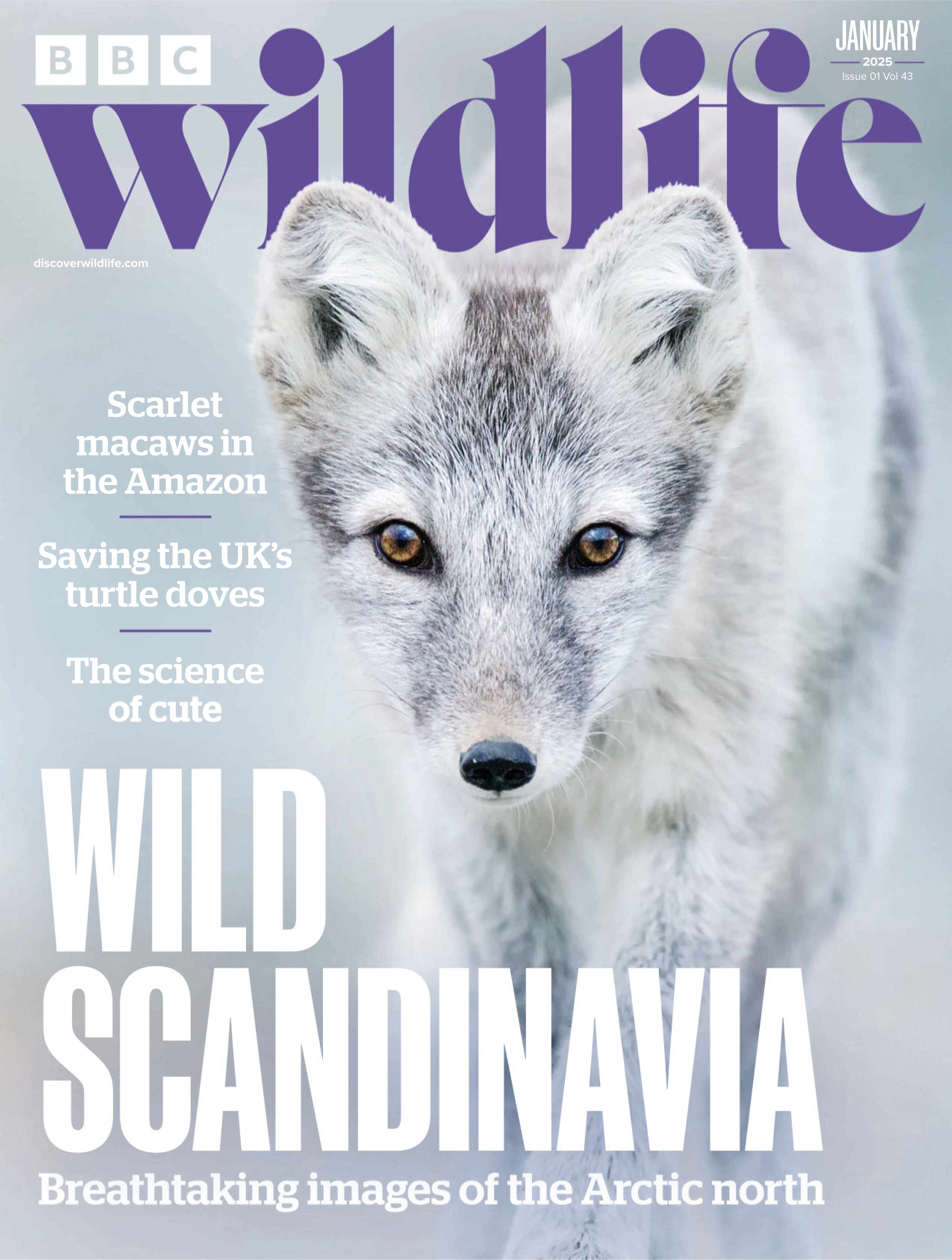 BBC Wildlife 2025.01.jpg