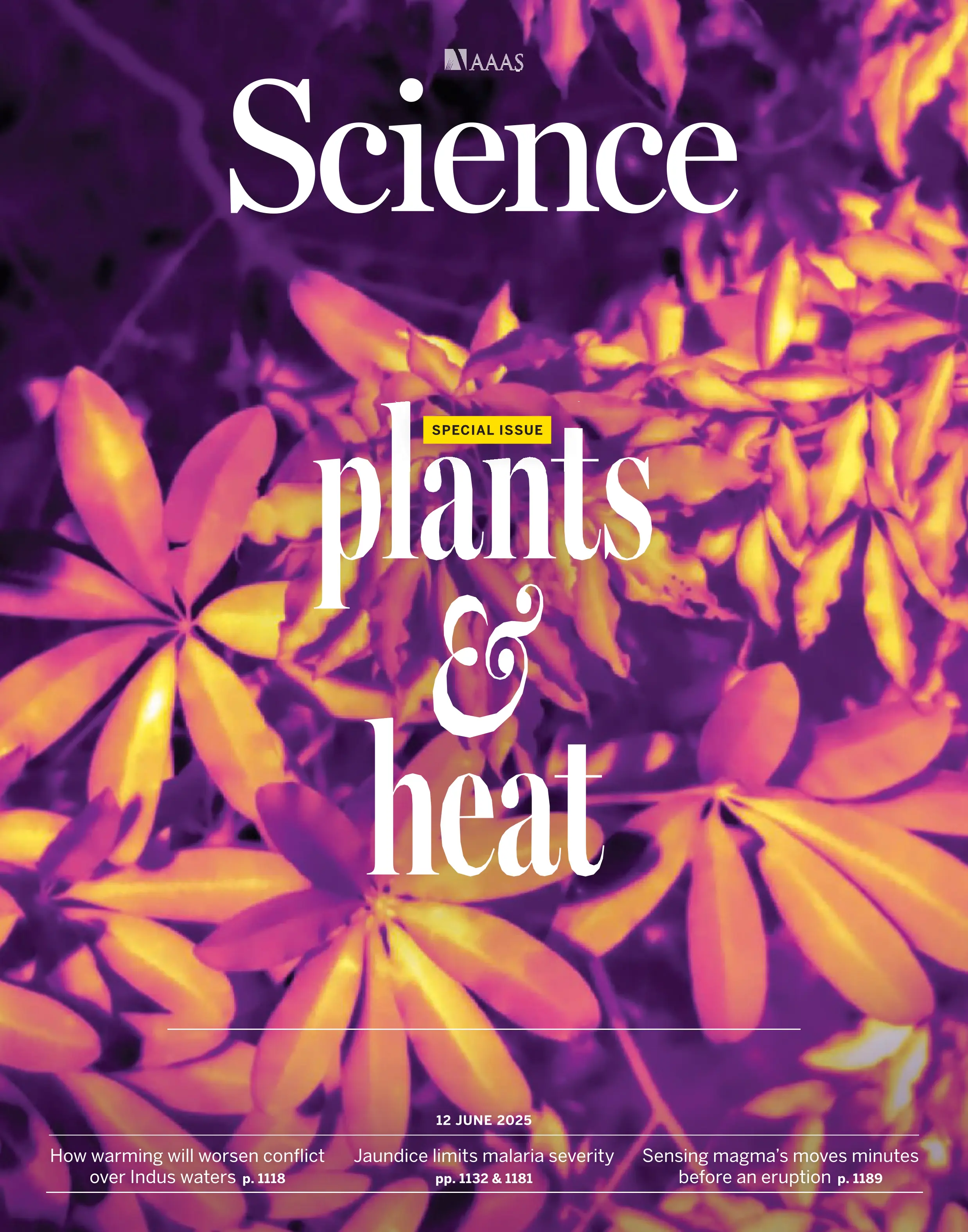 Science 2025.6.12_1.webp