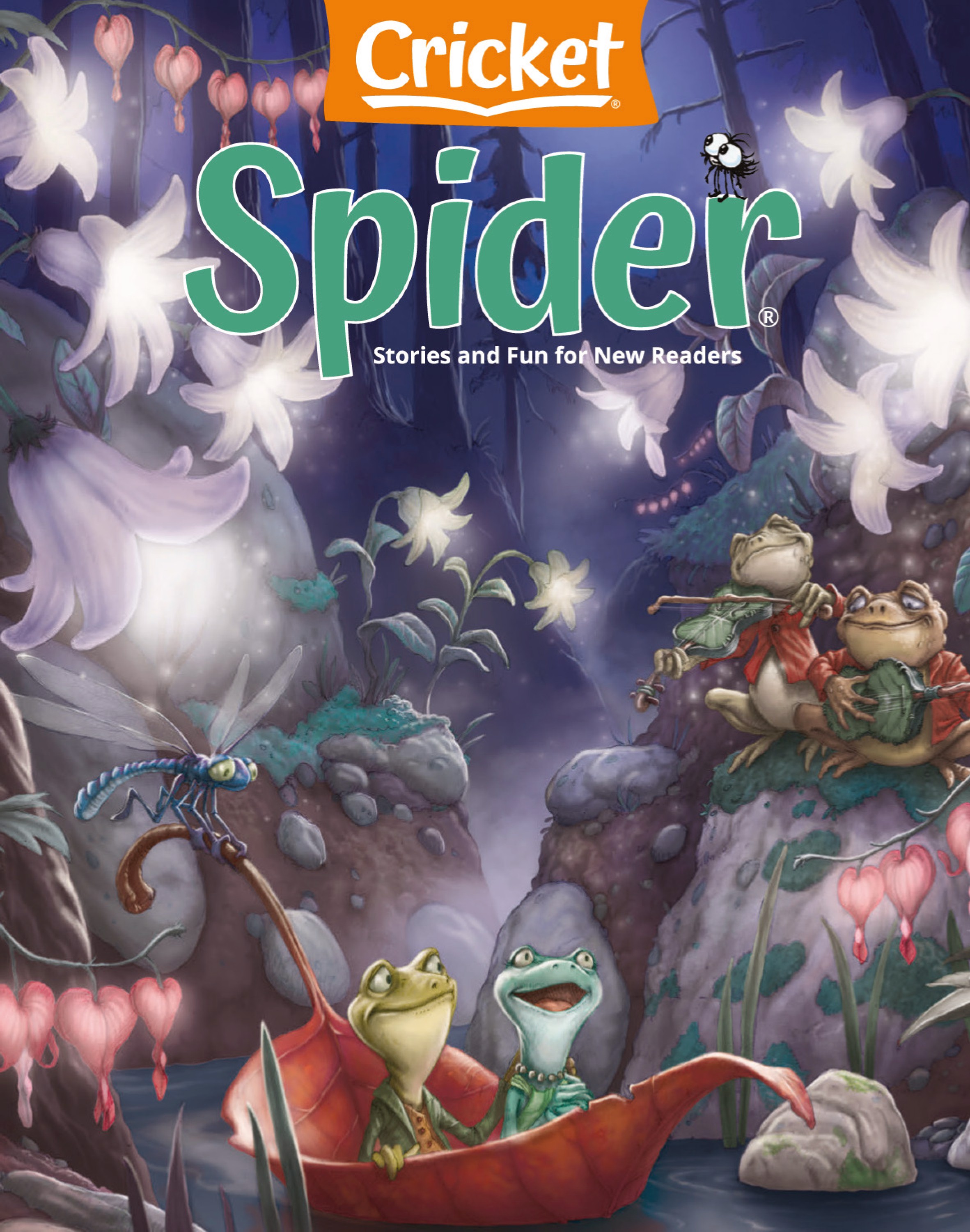 Cricket Spider 2025.02.jpg