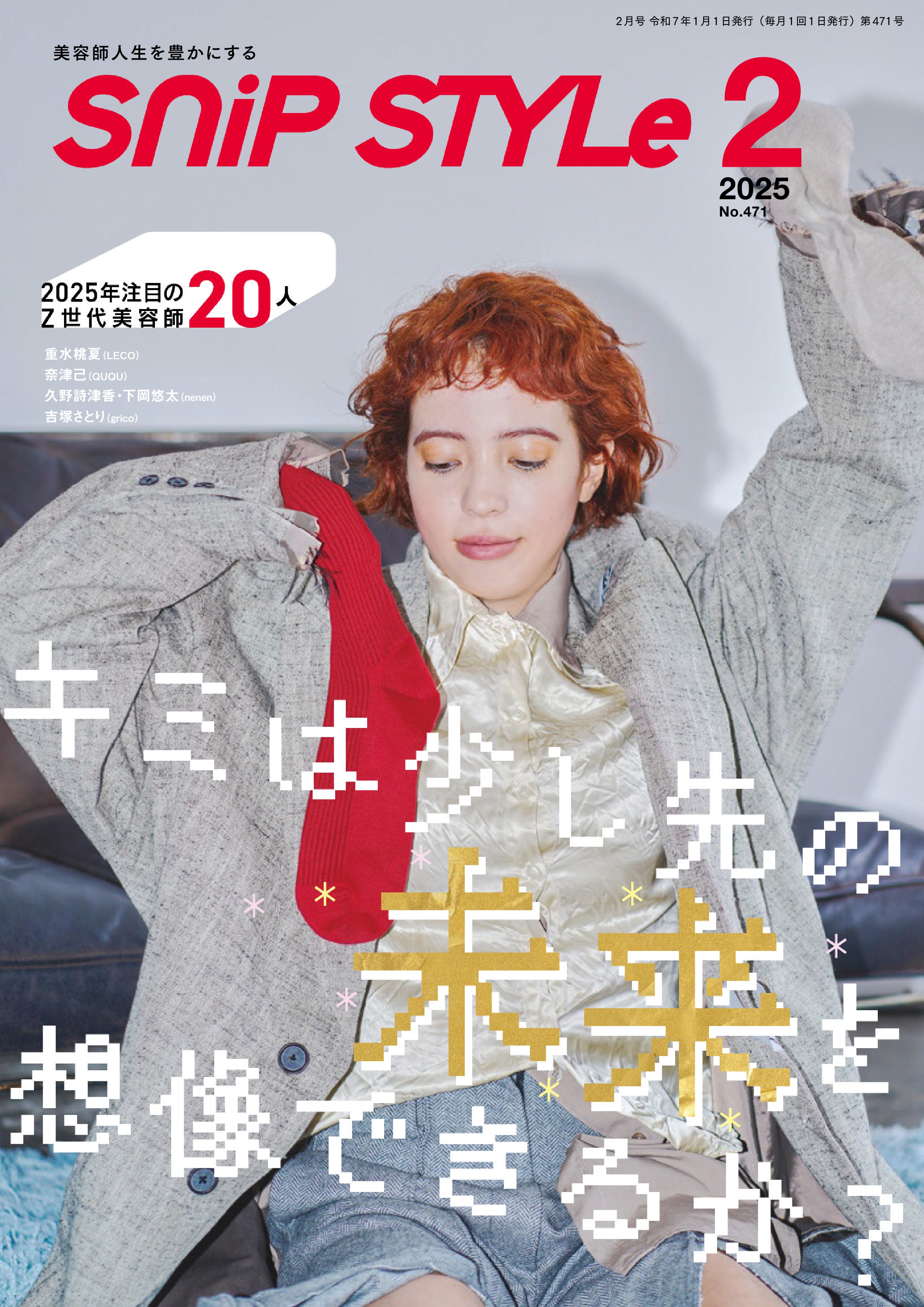 Snip Style 2025.02.jpg