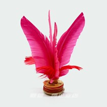 Xinjians new XJ2009 flower shuttlecock medium goose feather kick-resistant adult primary school student fitness training class competition shuttlecock