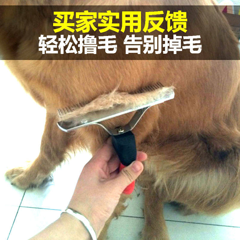 Pooch Comb Kitty Brush Teddy Gold Wool Exclusive Hair Drescomb Dog Hair Brush Pet Comb Muller Large Dog Supplies