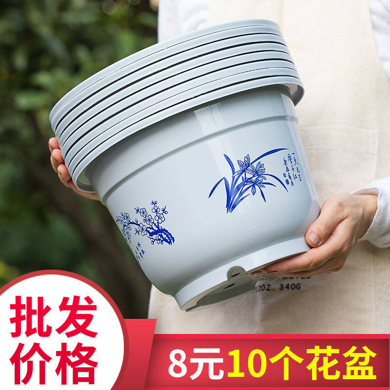 Flower Pot Plastic Multi Meat Gold Gt Price Clear Bin Large Living Room Large Moon Season Plant Potted Thickening Resin Good