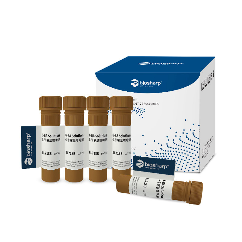 Biosharp BL718A /BL718B 6-苄氨基嘌呤溶液（6-BA）1mg/ml