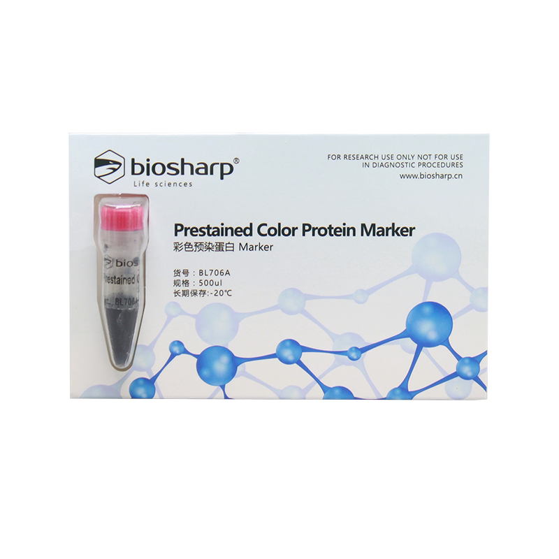 Biosharp BL706A 彩色预染蛋白Marker（11-180kDa）