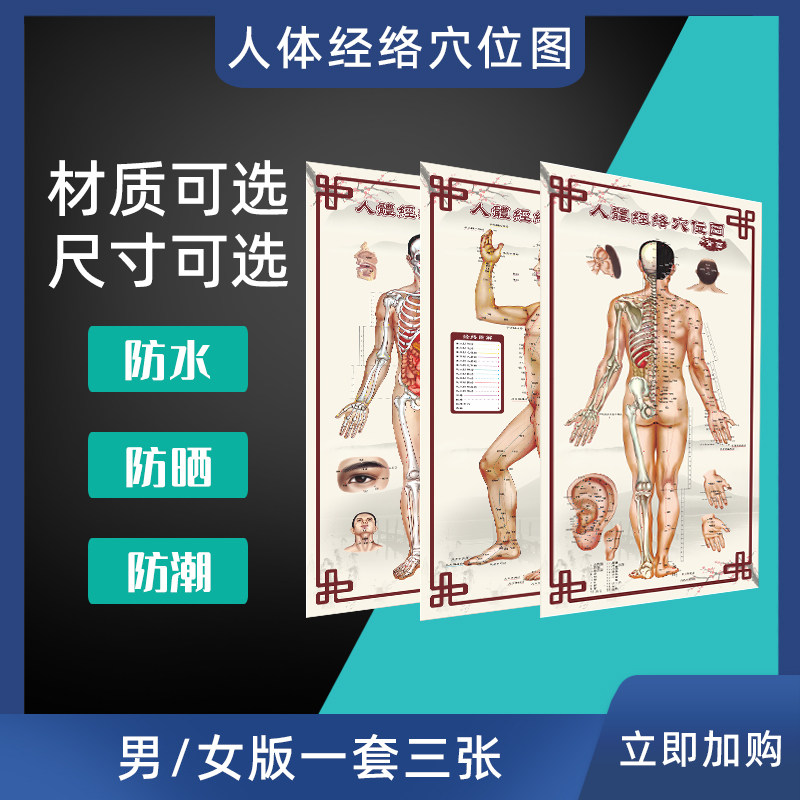 HD Structure of HD TCM Acupuncture Map of HD Acupuncture of HD Patient Patient Photography of HD