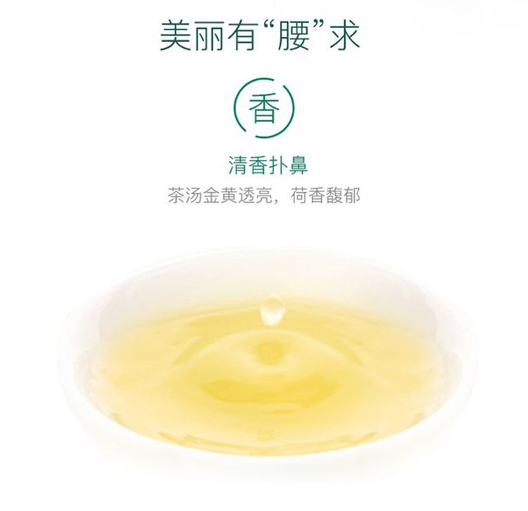 宁草堂冬瓜荷叶玫瑰养生滋补茶35g