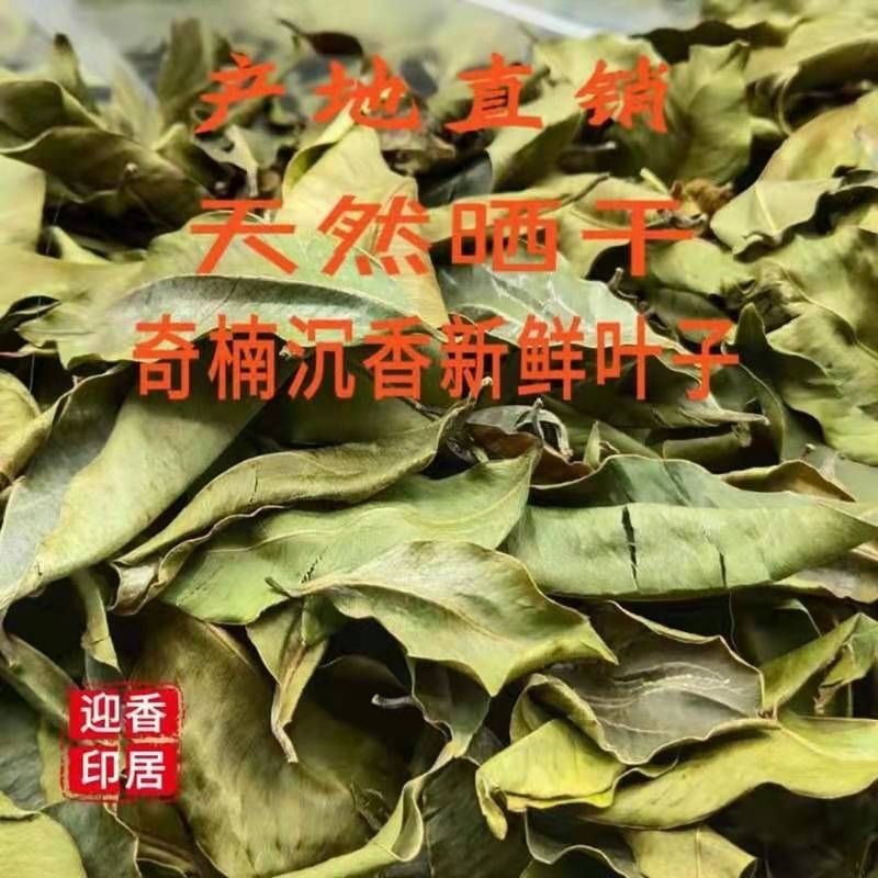 Hot-Selling Agarwood Dried Leaves, Hainan Qi Nan Agarwood Leaves, White Wood Fragrance Pure Leaf Tea, Sun-Dried for Medicinal Purposes and Health Tea