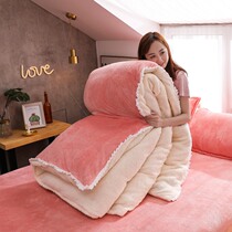Japan plus velvet quilt cover coral fleece one-piece set AB flannel plush double-sided velvet quilt cover single winter double