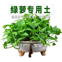 Green Lori Special Earth Turquoi Turquoi Green Plant Breathable Universal Soil Acidic Nutritional Native Soil Organic Fertilizer Planting Earth