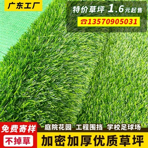 Поддельный моделирование кортара Пластиковое искусственное зеленое растение Постоянное зеленый детский сад поддельный карлерометр.