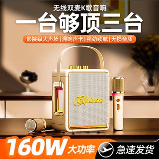 160W Bluetooth Speaker with High Volume, Wireless Karaoke Microphone, Integrated Microphone, High-Quality Sound, Home Ktv Set