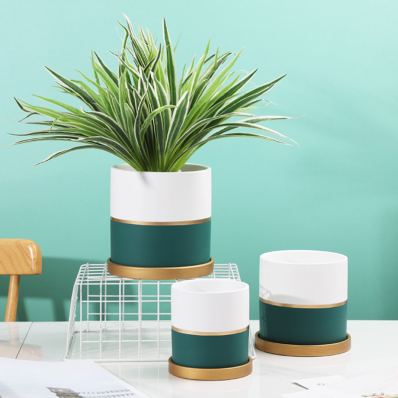 Indoor Phalaenopsis Tonal Flower Pot Ceramic 2021 New Nordic Simple Aloe Vera Succulent Tiger Pilan Special Creative