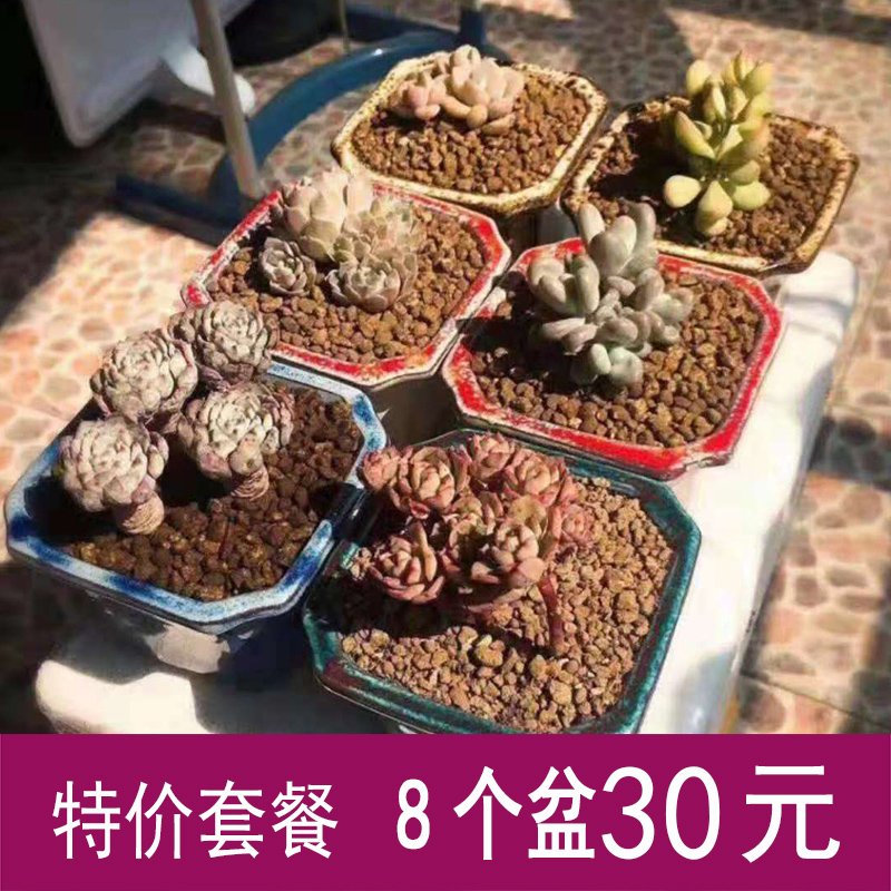 Ebony basin succulent plant flower pot large ceramic breathable group square clearing square basin large diameter square meat