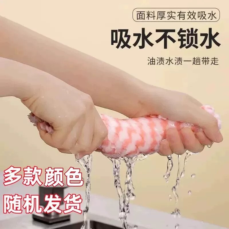 Printed Kitchen Cloth, Lint-Free, Oil-Resistant, Easy to Clean, Thick Absorbent Dishcloth, Scouring Pad