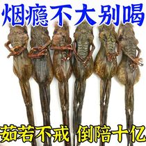 (Yong no more smoking) Quit addiction and quit smoking (1 million people have successfully quit smoking) Powerful unisex secret recipe