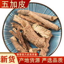 500 grams of Acanthopanax bark root slices new arrival Acanthopanax bark can be brewed into wine and tea