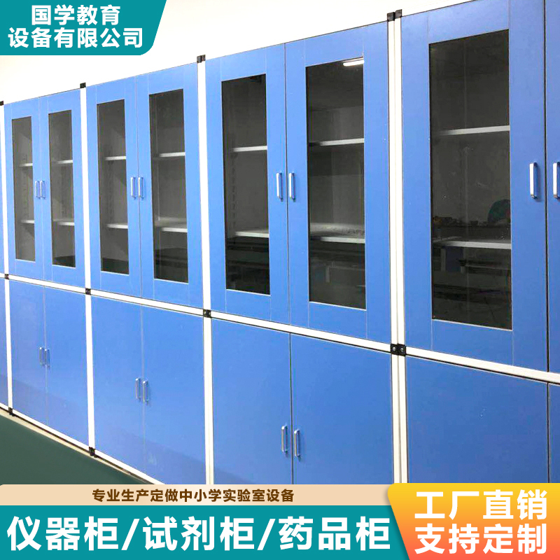 Aluminum-Wood Instrument Cabinet, Anti-Corrosion File Cabinet, Utensil and Reagent Laboratory Ventilation Cabinet, Physical and Chemical Medicine Cabinet