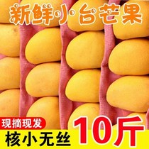 Hainan Xiaotai Nong Mango 10 Jin Fresh Seasonal Tropical Fruit Egg Fruit Small Tai Mang Jinhuang Mang