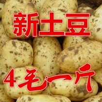 Shandong Plateau yellow-skinned big potatoes 10 catties of flour farmers grow fresh vegetables in the whole box of the season