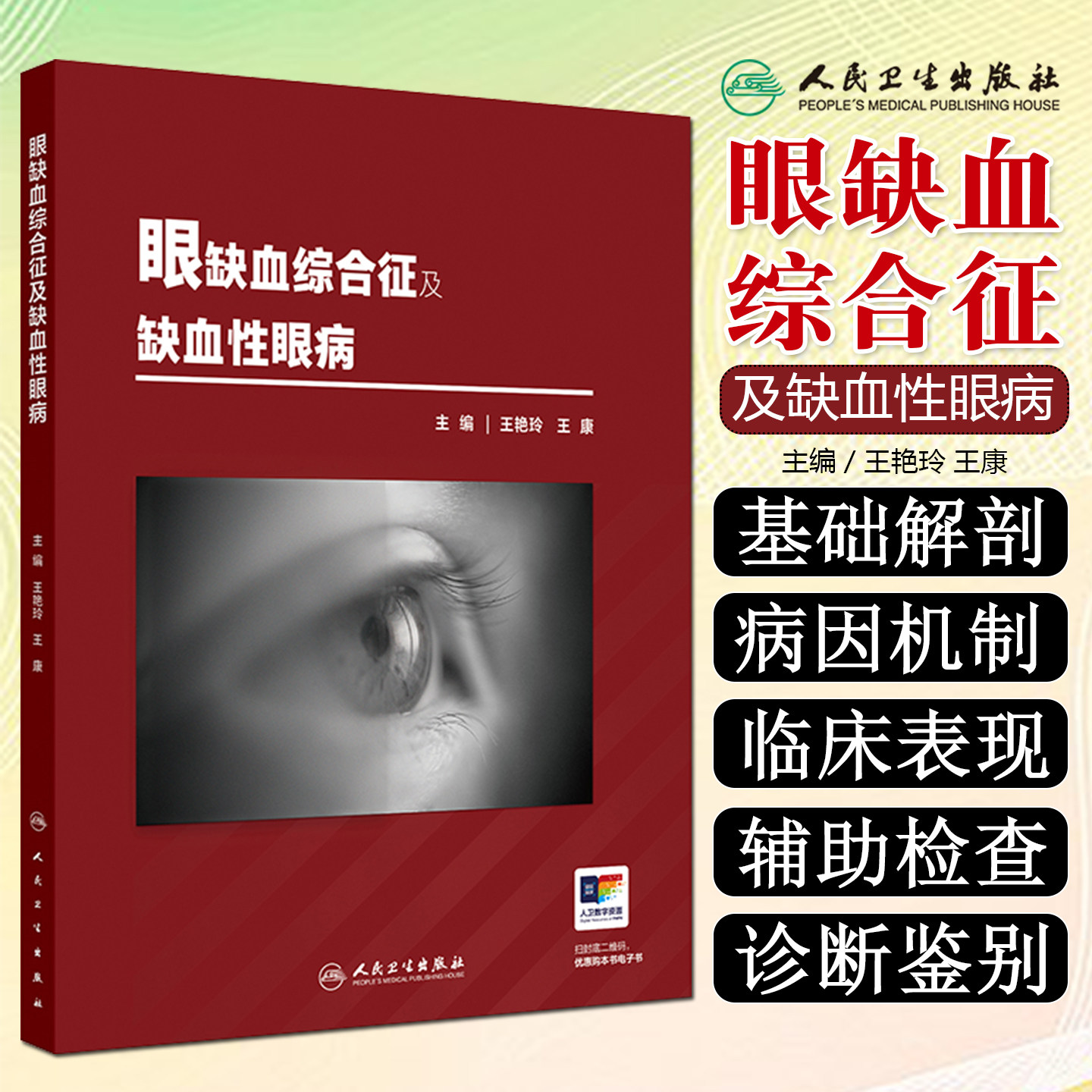 眼缺血综合征及缺血性眼病人民卫生出版社9787117382052