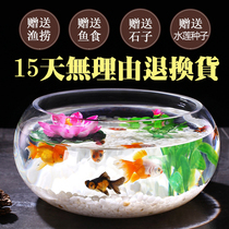 Goldfish tank glass desktop round turtle tank desk turtle living room household small fish tank aquarium